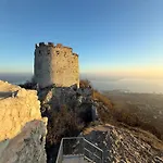 Milujto, Palava Apartament